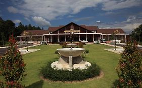 The Thai Elephant Conservation Center Lampang